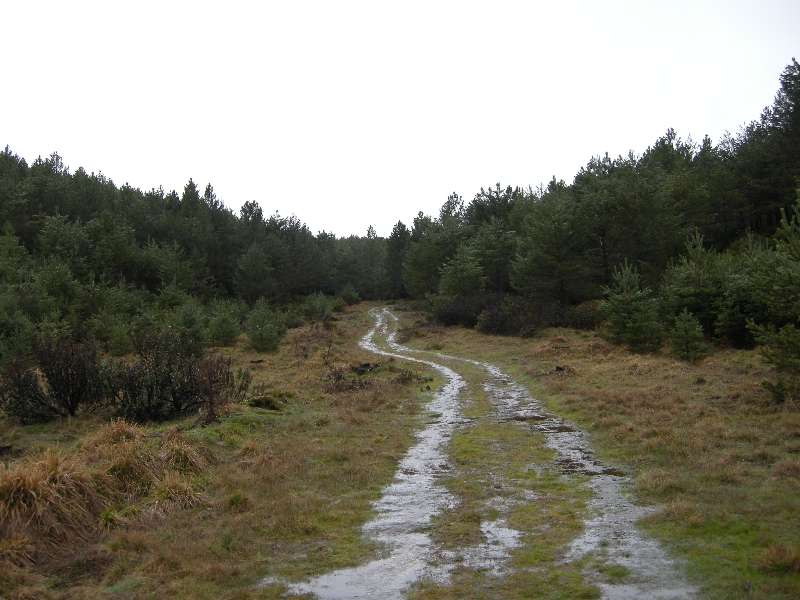 soria_2013 125